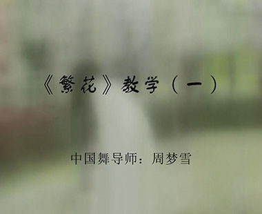 《繁花》教学（一）