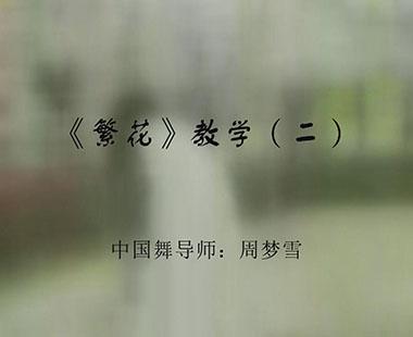 《繁花》教学（二）