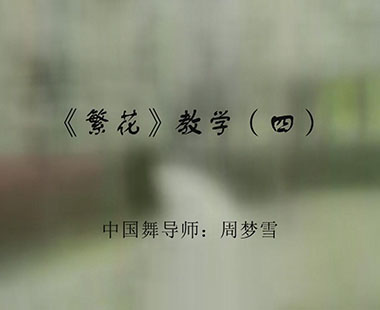 《繁花》教学（四）