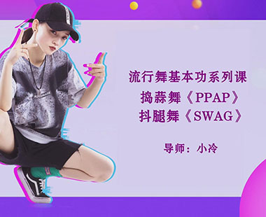捣蒜舞《PPAP》抖腿舞《SWAG》