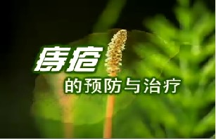 痔疮的预防与治疗