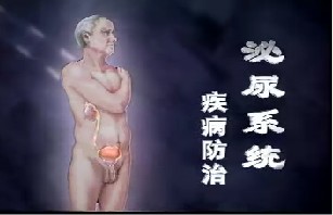 泌尿系统疾病的防治