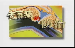 关节病的防治
