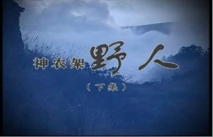 神农架野人（下）