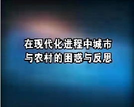 在现代化进程中城市与农村的困惑与反思