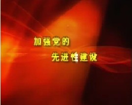 加强党的先进性建设（上）