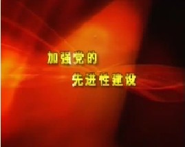 加强党的先进性建设（下）