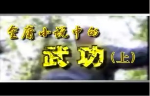 金庸小说中的武功（上）