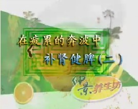 在疲累的奔波中－补肾健脾（二）