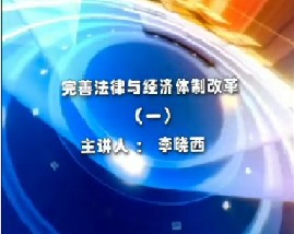 完善法律与经济体制改革（一）