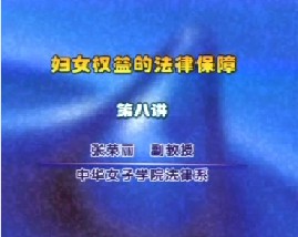 妇女权益的法律保障（八）