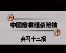 中国象棋－弃马十三招