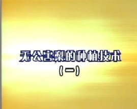 无公害梨的种植技术（一）