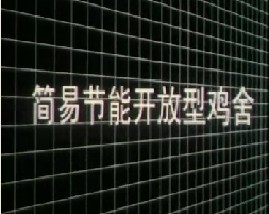 简易节能开放鸡舍