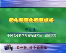 奶牛的规范化养殖技术（四）