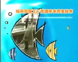 城市郊区工厂化循环水养鱼技术