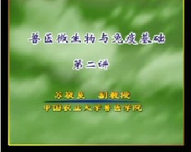 兽医微生物与免疫基础（二）