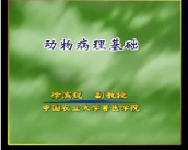 动物医学基础（四）