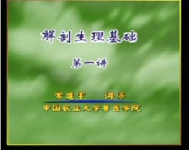 动物医学基础（一）