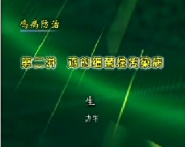 鸡病防治（二）