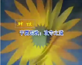 宁夏医改：攻守之道