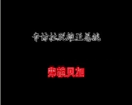专访拉脱维亚总统－弗赖贝加