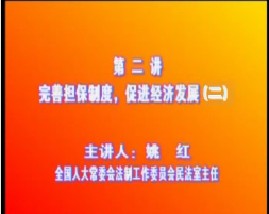 《物权法》二：完善担保制度，促进经济发展（二）