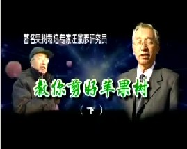 教你剪好苹果（下）