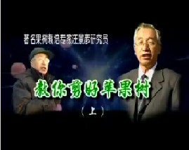 教你剪好苹果（上）