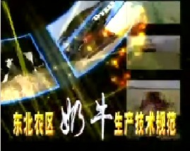 东北农区奶牛生产技术规范（二）