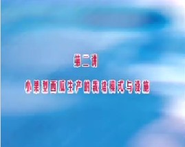 小果型西瓜栽培技术（二）