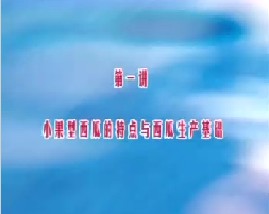 小果型西瓜栽培技术（一）