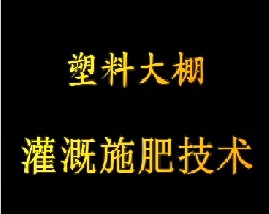 塑料大棚灌溉施肥技术