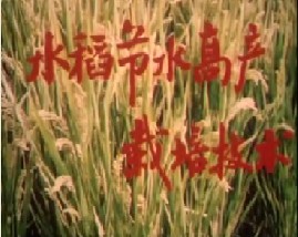 水稻节水高产栽培技术