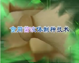食用菌液体制种技术