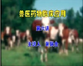 兽医药物临床应用（六）