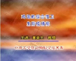 养鸡场的综合性卫生防疫