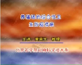 养猪场的综合性卫生防疫