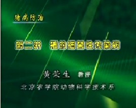 猪病防治（二）