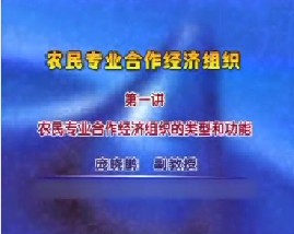 农民专业合作经济组织（一）