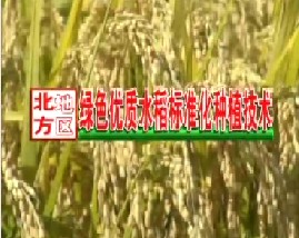 北方地区绿色优质水稻标准化种植技术