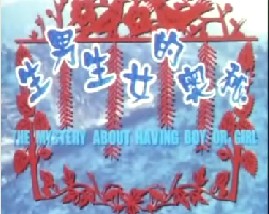 生男生女的奥秘