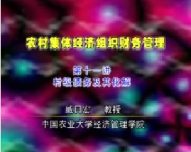 农村集体经济组织财务管理（十一）