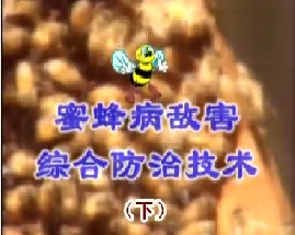 蜜蜂病敌害综合防治技术（下）