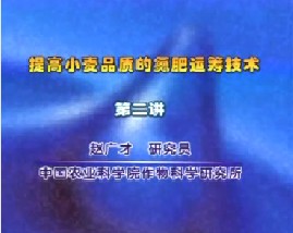 提高小麦品质的氮肥运筹技术（二）