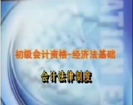 初级会计资格-经济法基础-第五章会计法律制度