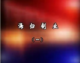 海归创业（一）