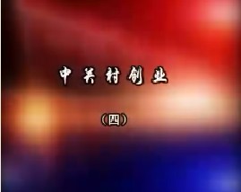 中关村创业（四）