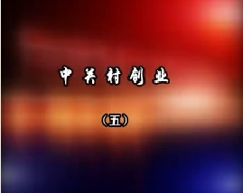 中关村创业（五）