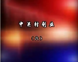 中关村创业（六）